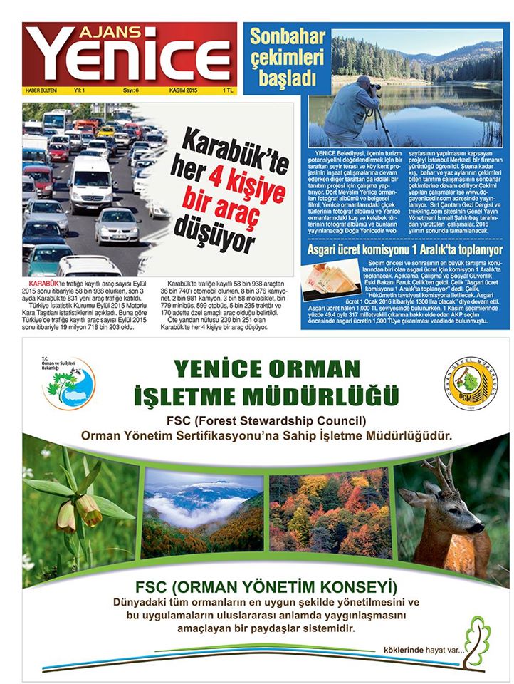 Sayı-6-12
