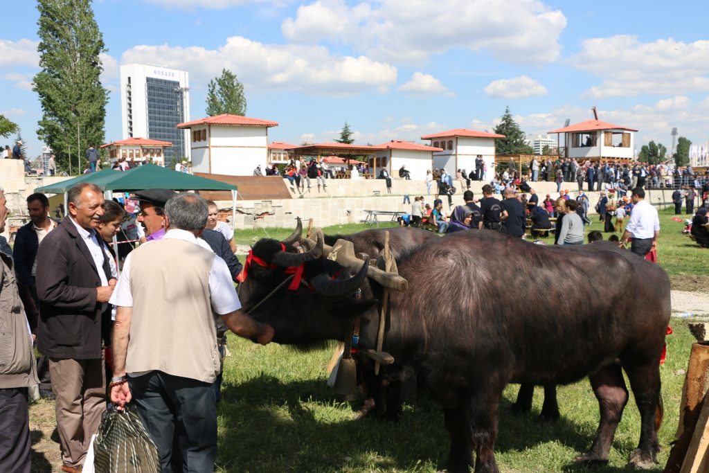 TIR KOOPERATİFİ GÖZ DOLDURDU 5