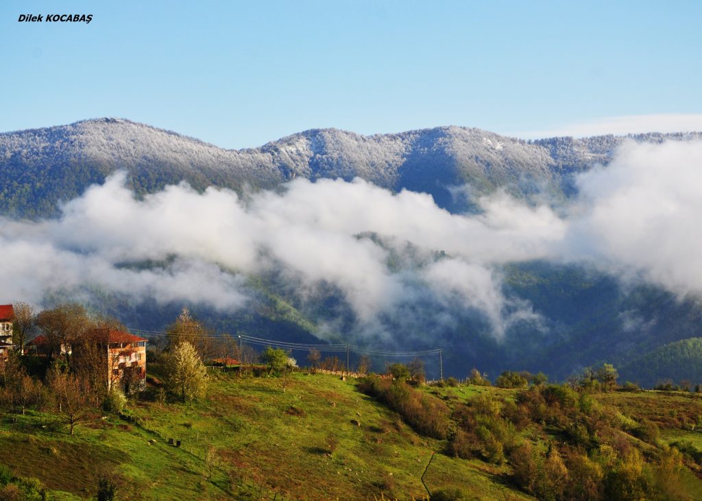 Fotoğraf Yarışmasının 1 ncisi Kocabaş oldu 2