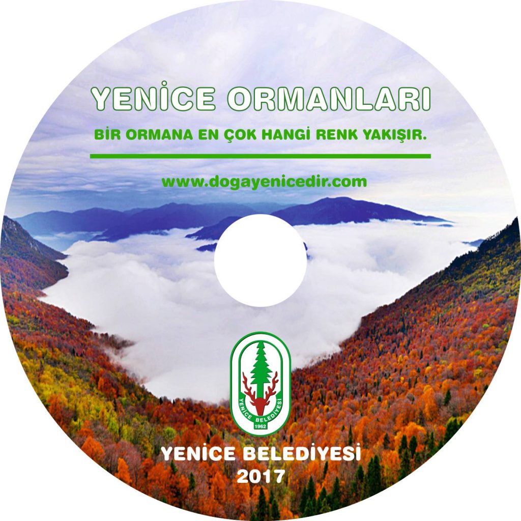 Bir Ormana En Çok Hangi Renk Yakışır