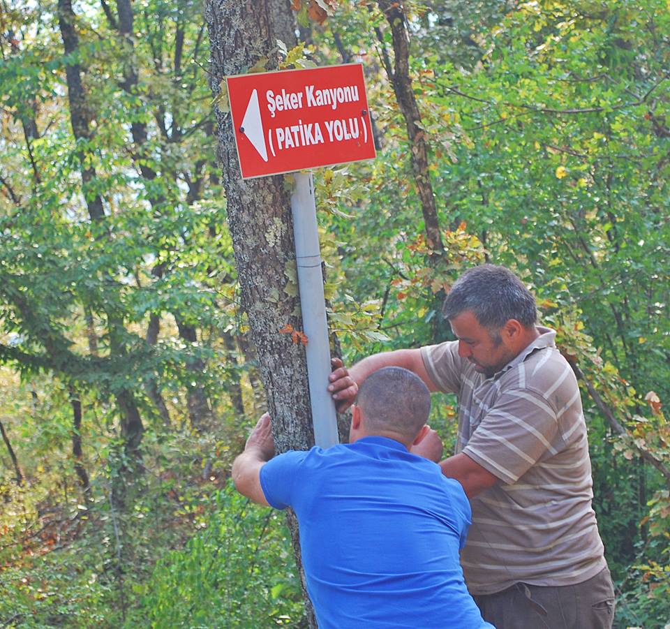 Tabelalar asıldı